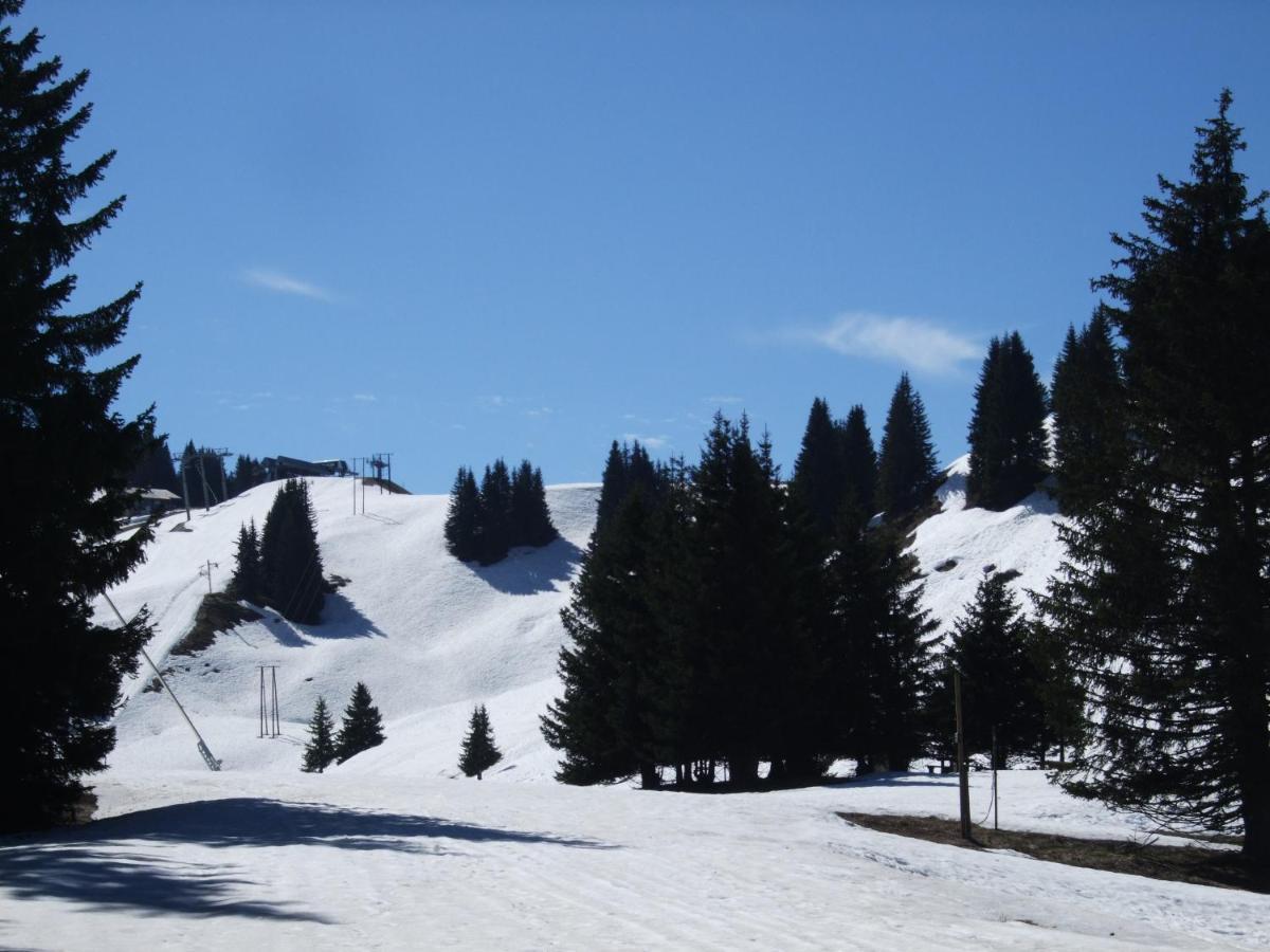 Chalet Montagne 11 P Grand Massif 100 M Telecabine Villa Morillon Exterior photo